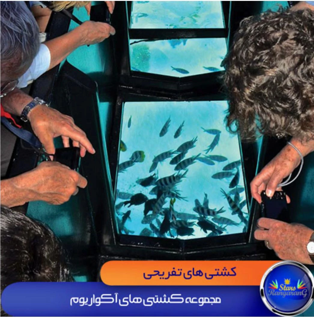 WhatsApp Image 2024-12-16 at 13.55.34_663fc017_66_11zon کشتی آکواریوم کیش - Image 1